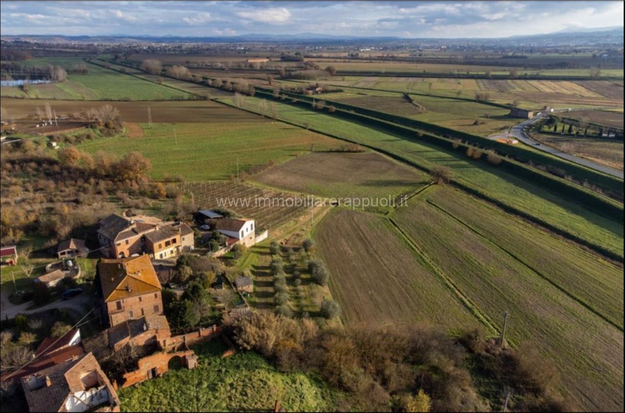 immagine annuncio 3 di 6