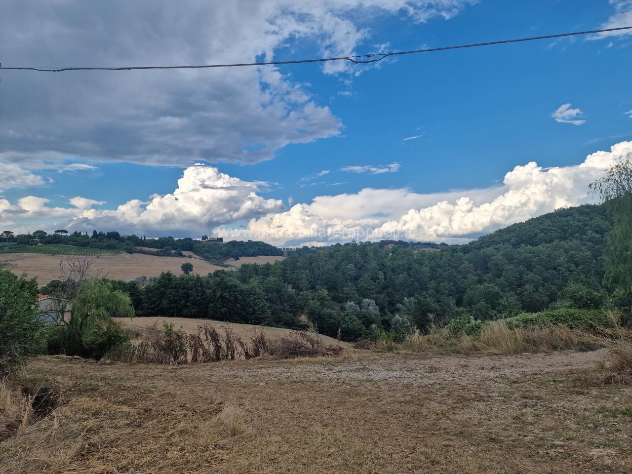 immagine annuncio 2 di 3