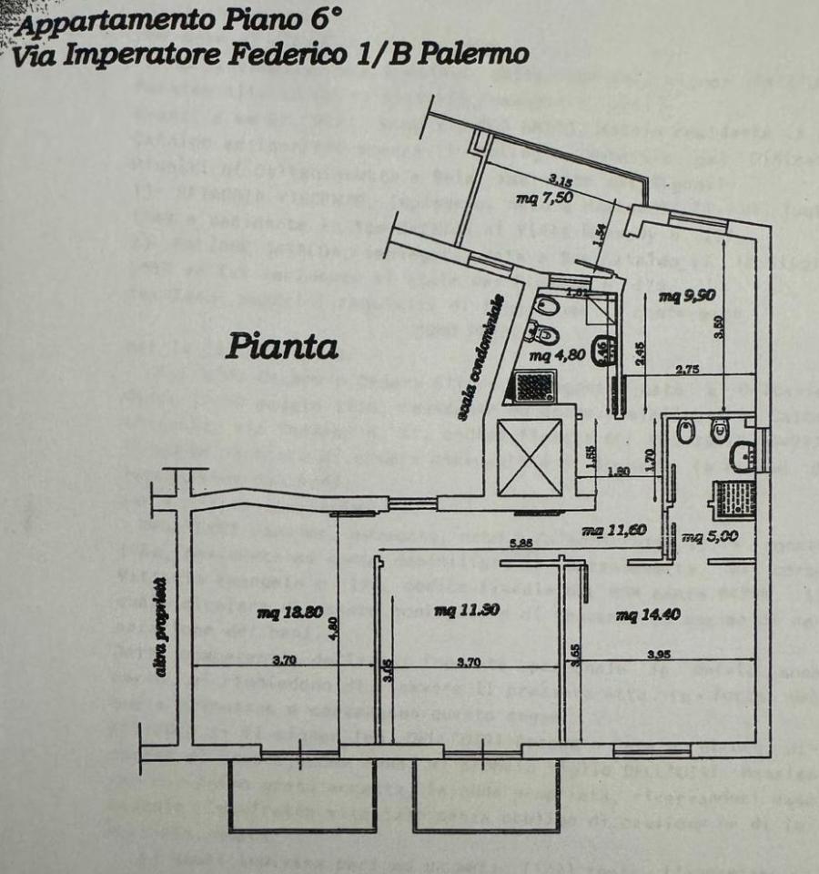 immagine annuncio 12 di 13