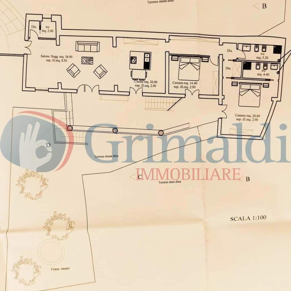 immagine annuncio 12 di 15