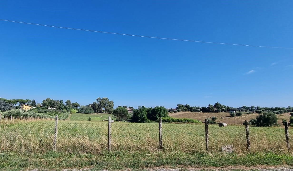 immagine annuncio 4 di 12