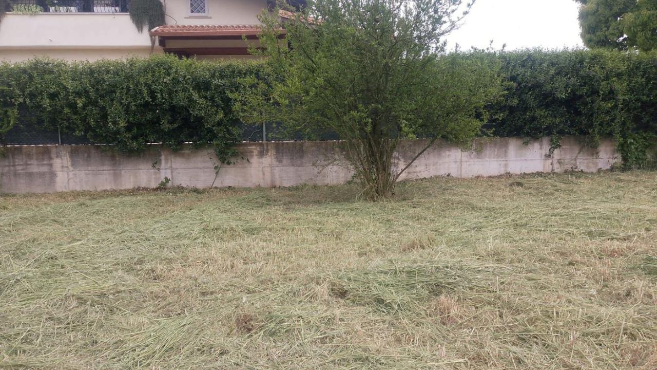 immagine annuncio 3 di 11