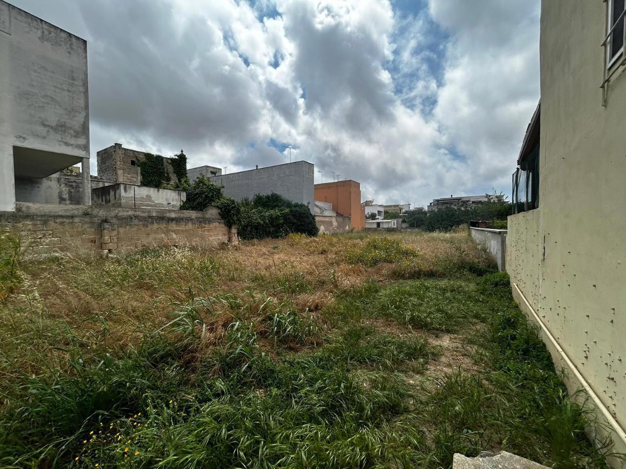immagine annuncio 3 di 11