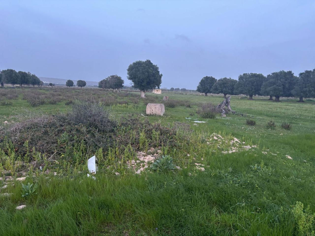 immagine annuncio 7 di 8