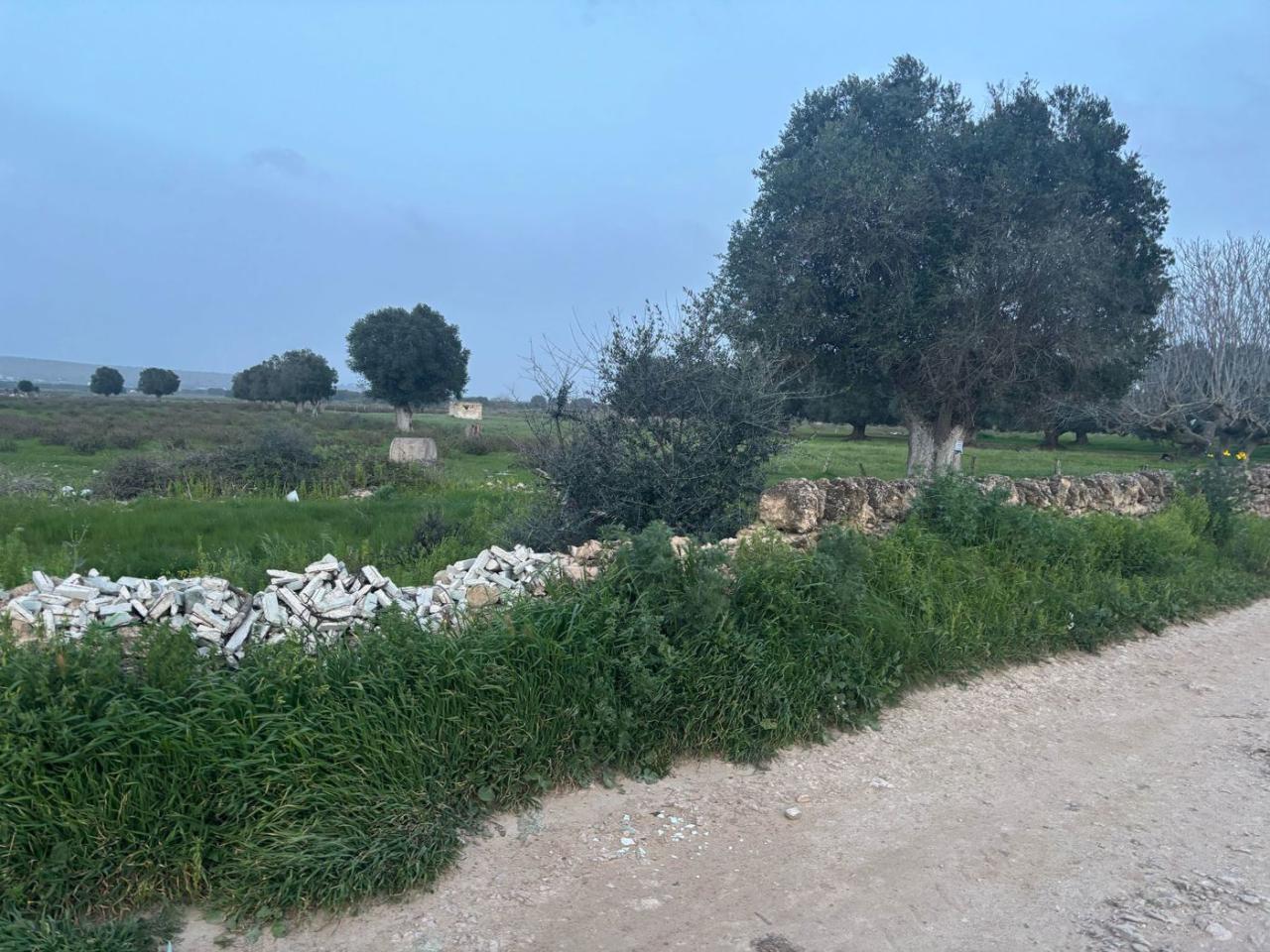 immagine annuncio 6 di 8