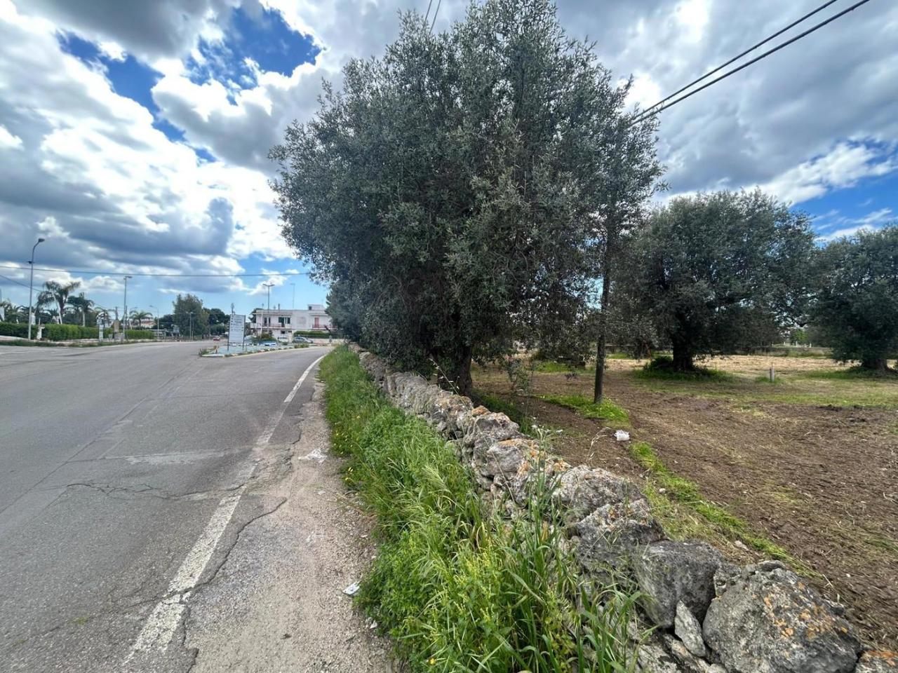 immagine annuncio 3 di 9