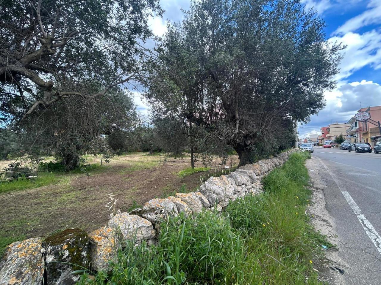 immagine annuncio 7 di 9