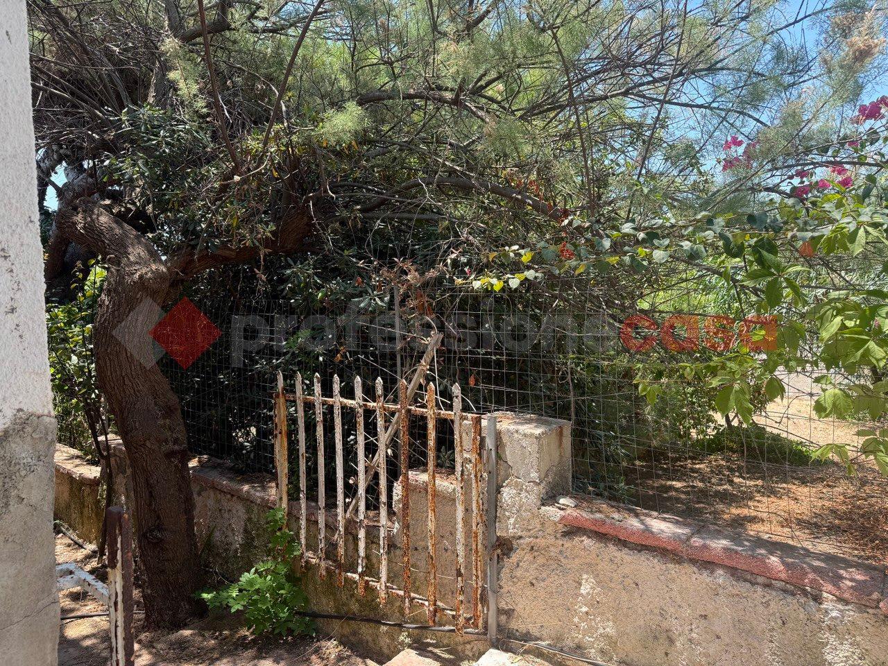 immagine annuncio 12 di 14