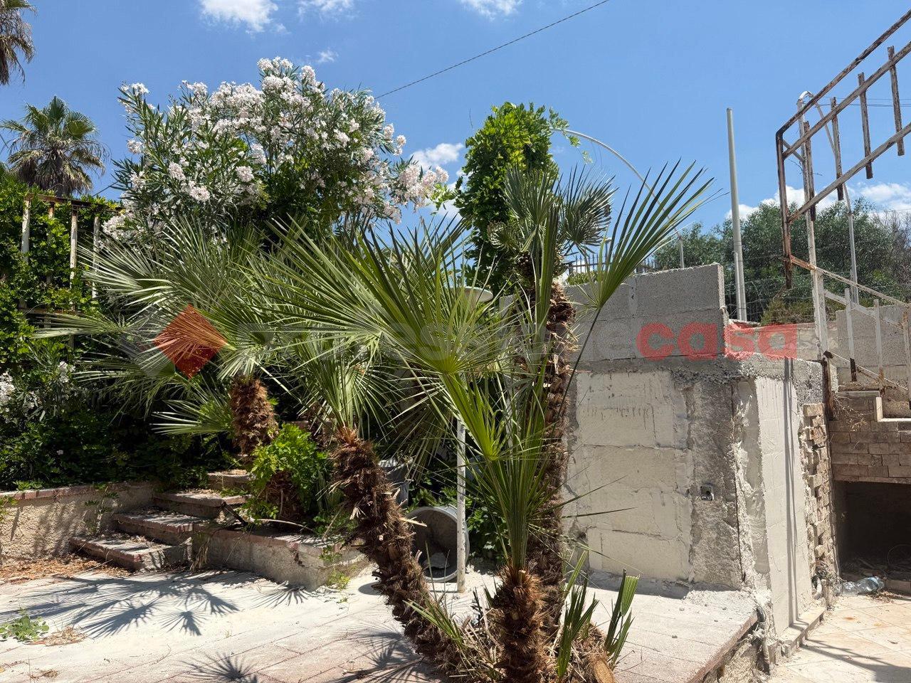 immagine annuncio 10 di 14