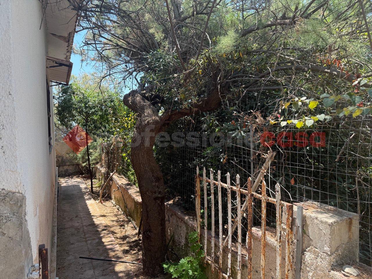 immagine annuncio 13 di 14