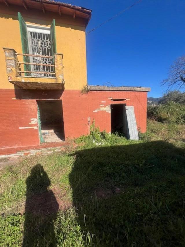 immagine annuncio 3 di 14