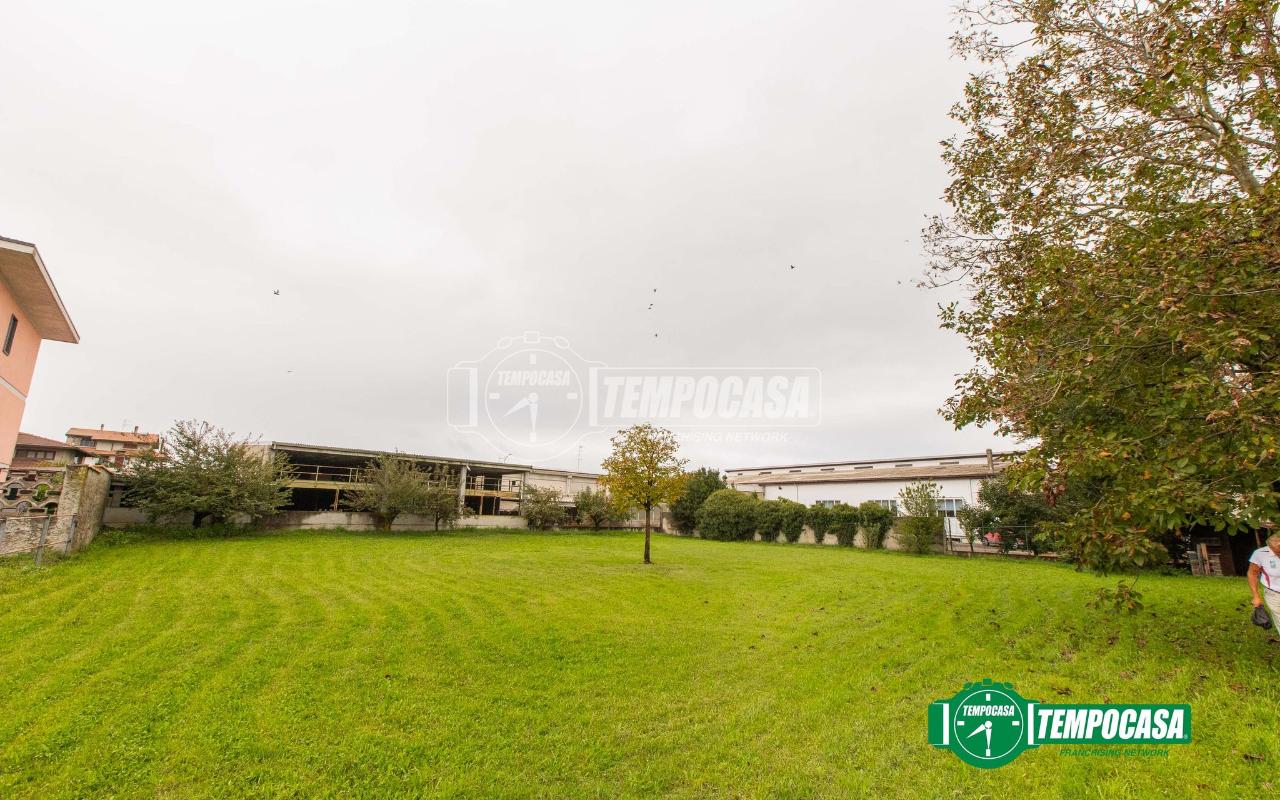 immagine annuncio 9 di 11