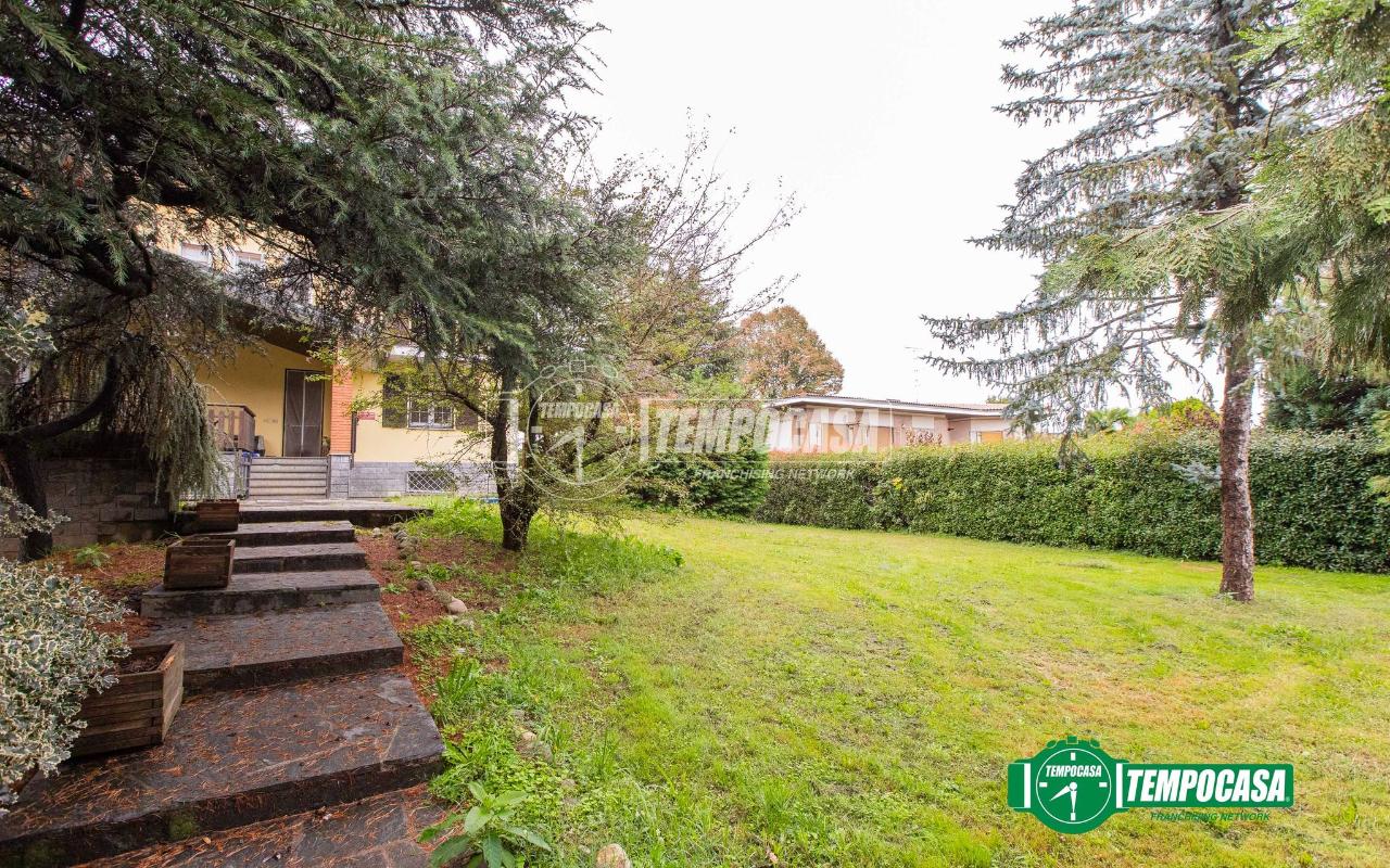 immagine annuncio 5 di 11