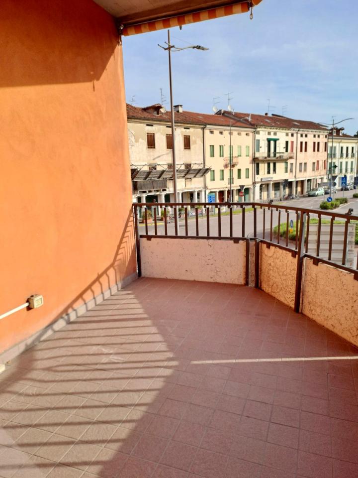 immagine annuncio 3 di 14
