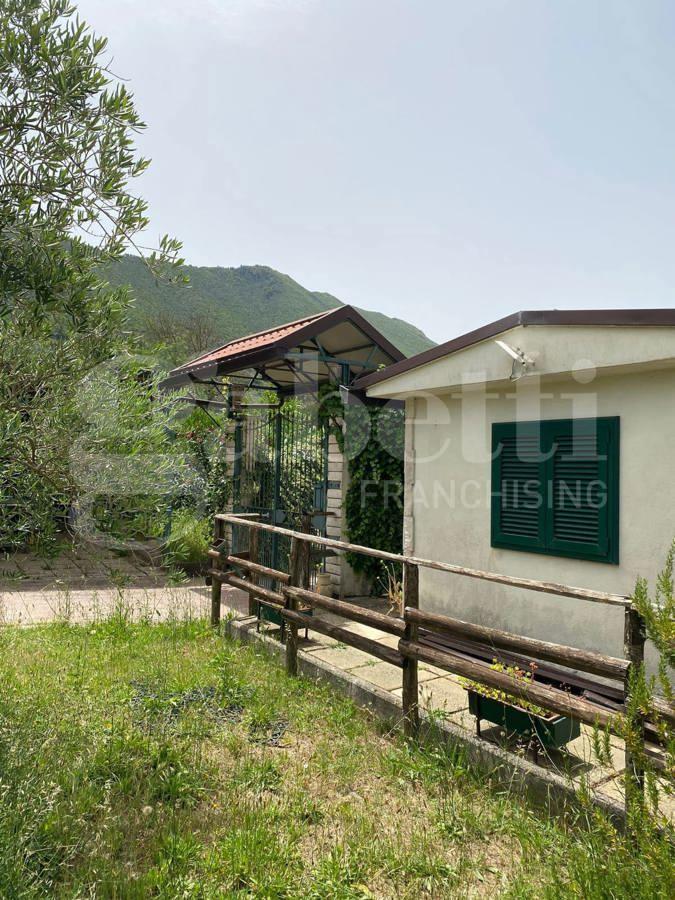immagine annuncio 2 di 14
