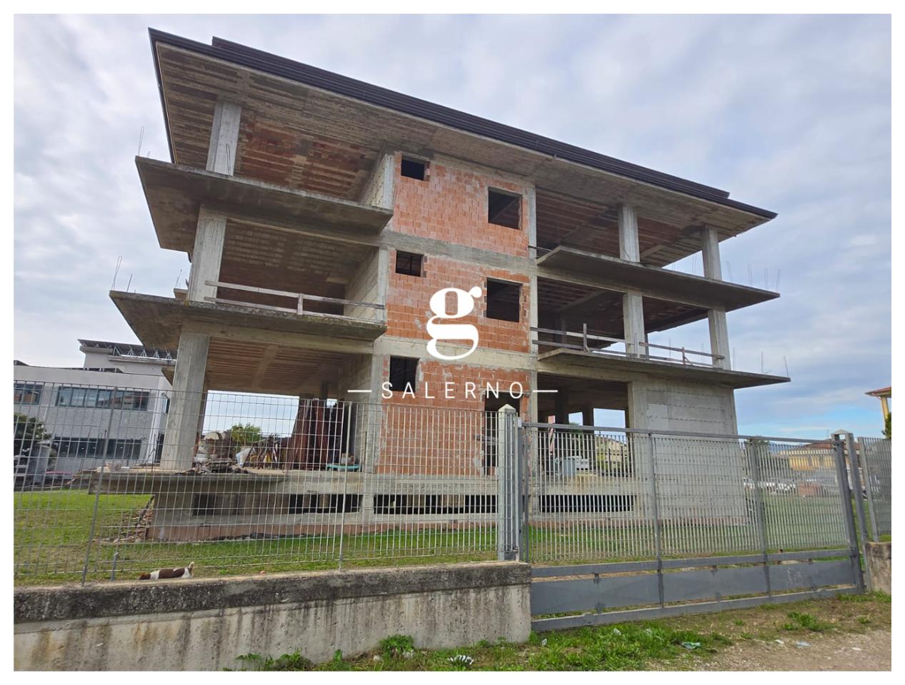 immagine annuncio 4 di 12