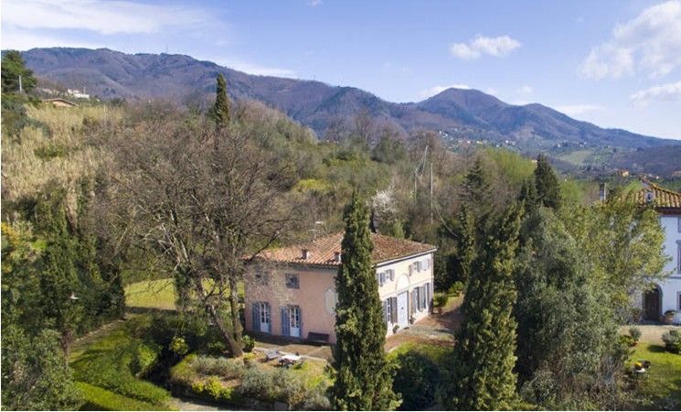 immagine annuncio 14 di 15