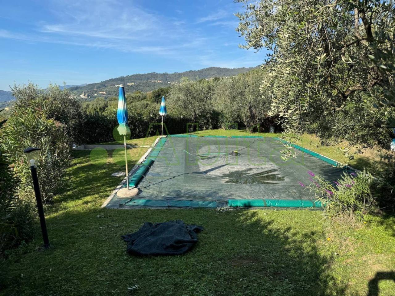 immagine annuncio 4 di 13