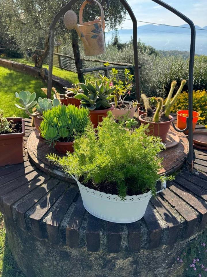 immagine annuncio 5 di 13