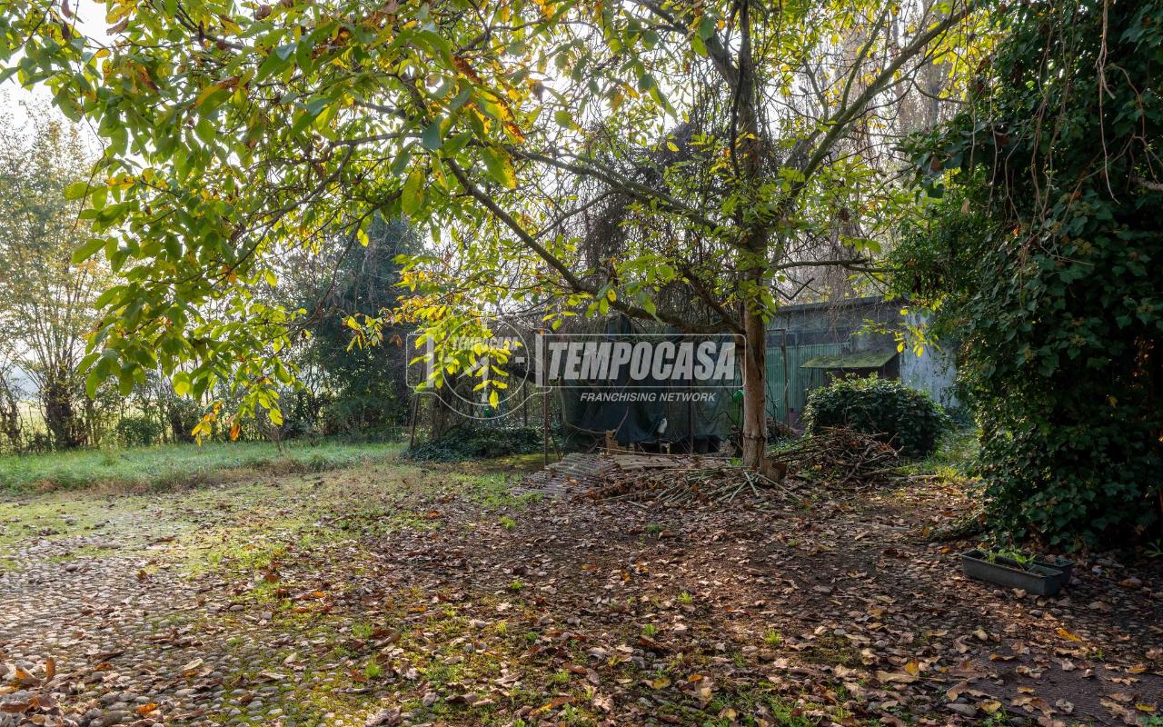 immagine annuncio 4 di 11