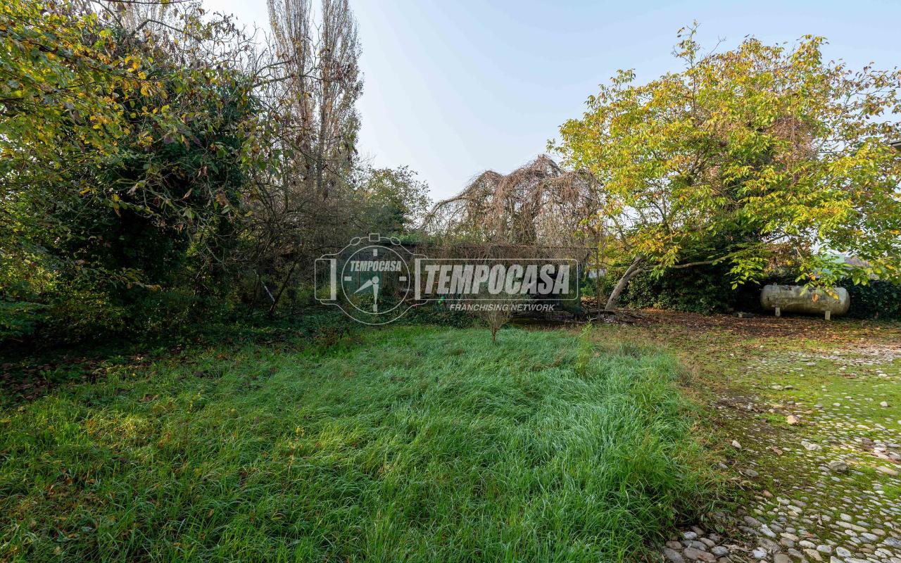 immagine annuncio 7 di 11