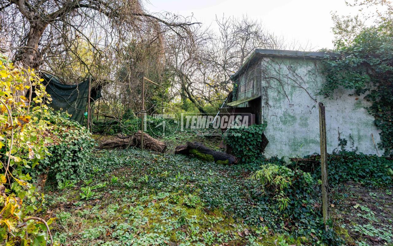 immagine annuncio 8 di 11