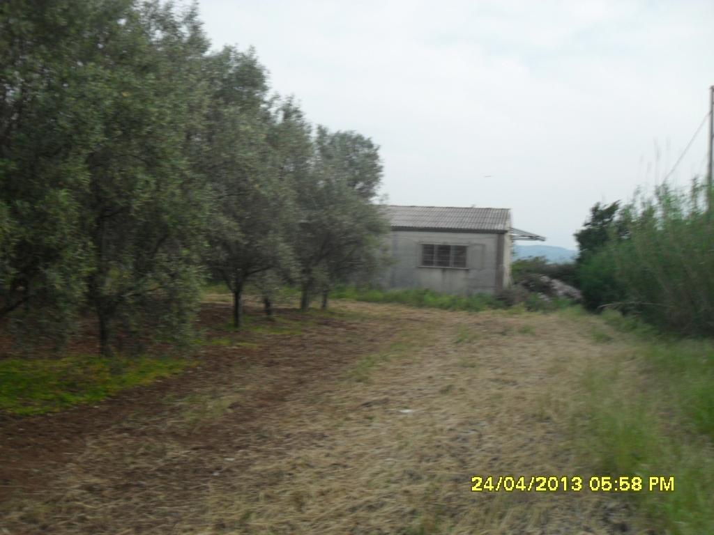 Terreno agricolo in vendita a Lamezia Terme
