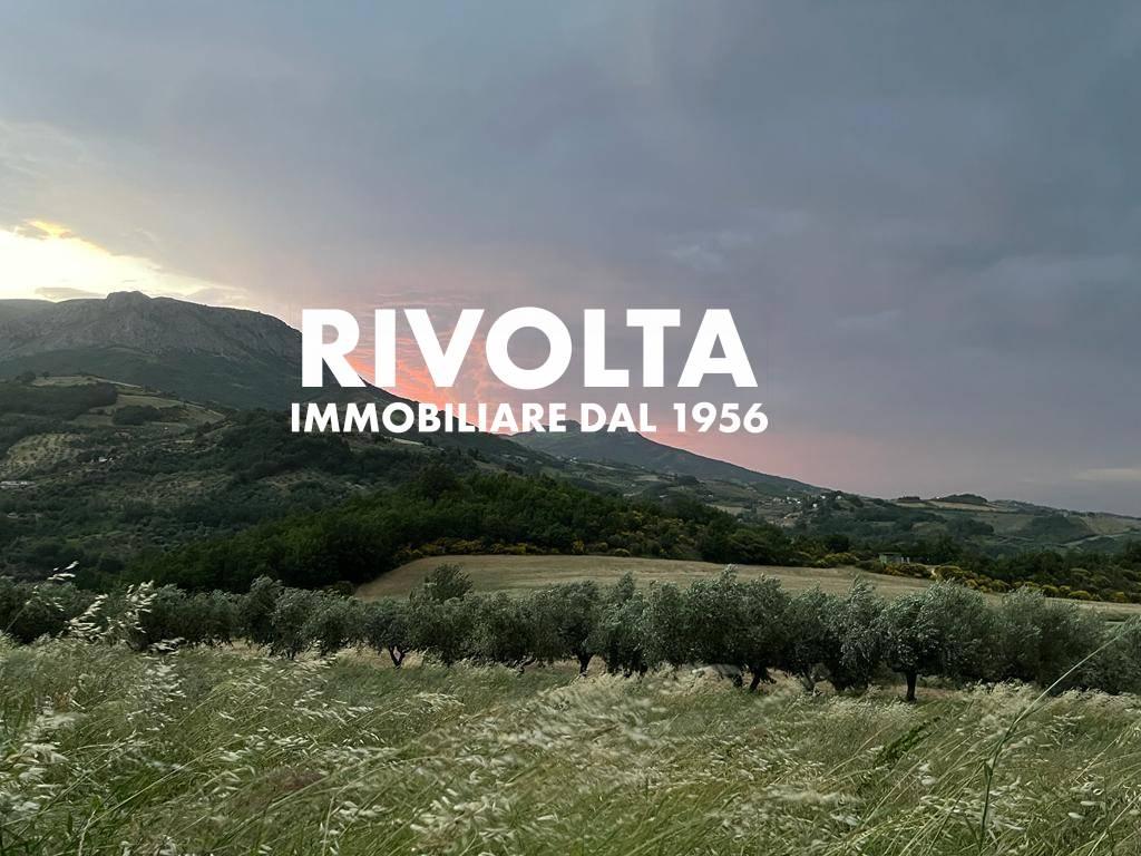 immagine annuncio 6 di 7