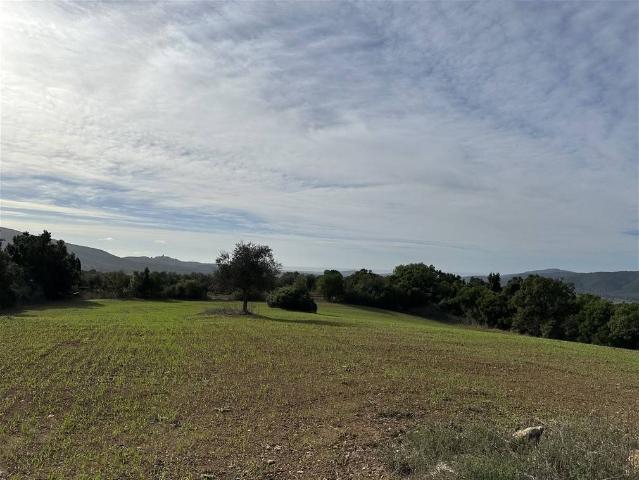 Mansion in Strada Marruchetone 5, Capalbio - Photo 1