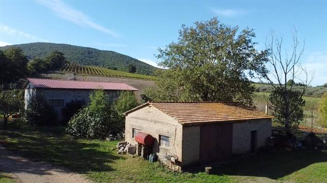 Country house or cottage, Capalbio - Photo 1