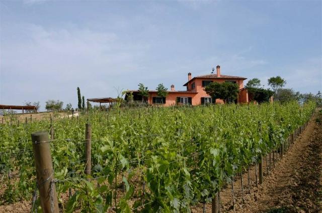 Country house or cottage in Strada Provinciale Aquilaia, Magliano in Toscana - Photo 1