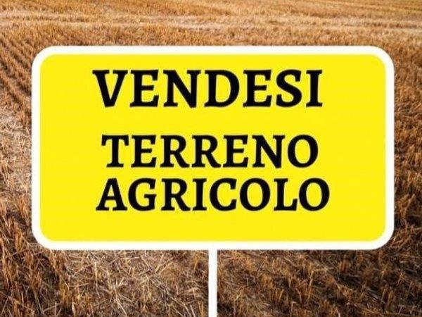 Terreno agricolo in vendita a Vigodarzere
