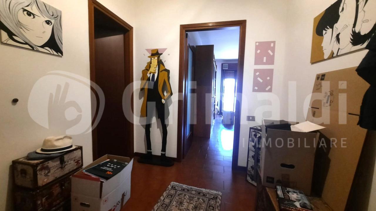 immagine annuncio 5 di 13