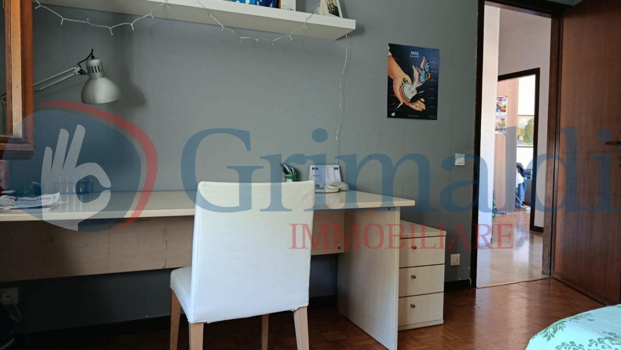 immagine annuncio 9 di 14