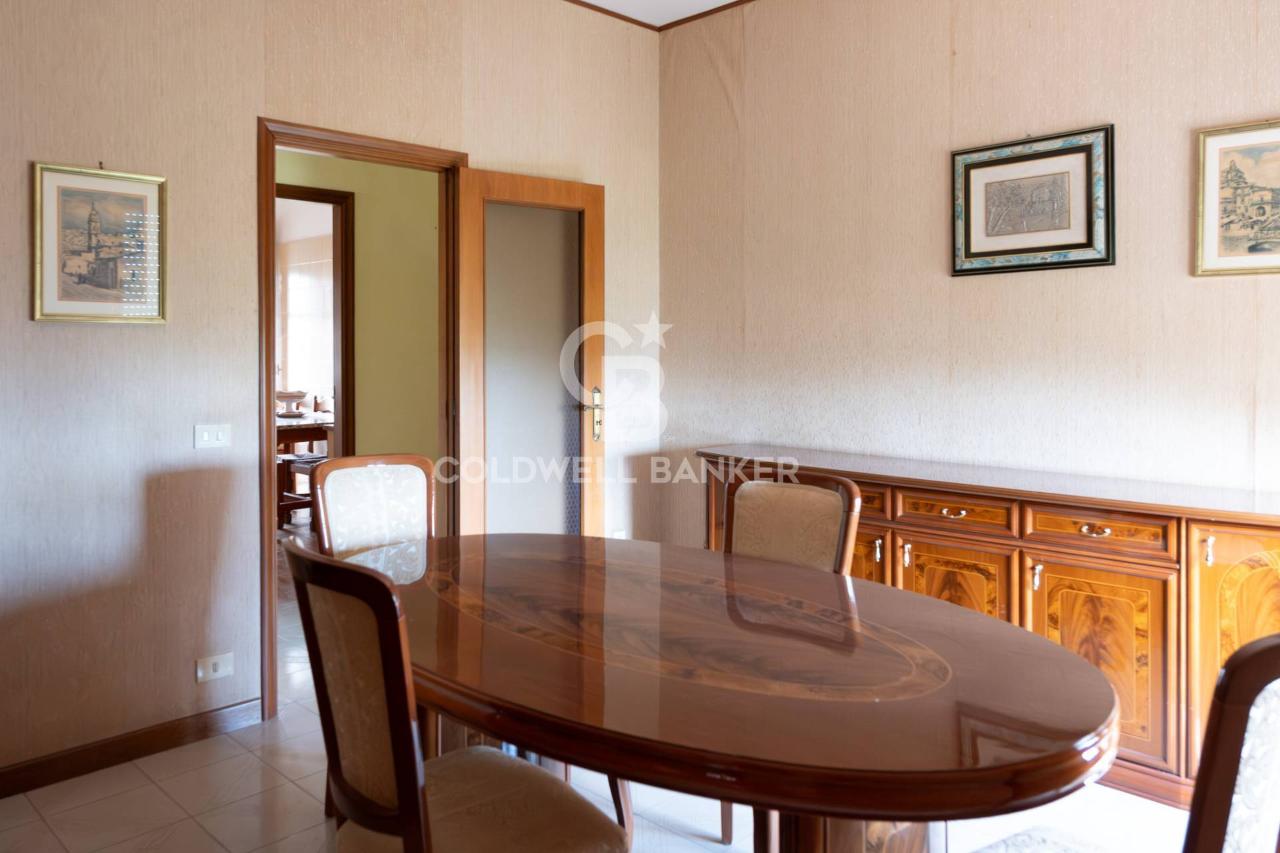 immagine annuncio 3 di 14