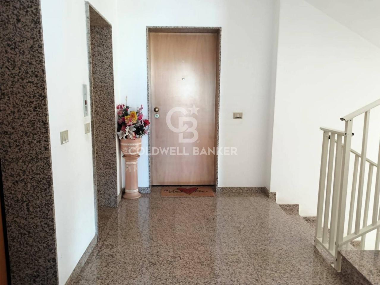 immagine annuncio 11 di 14