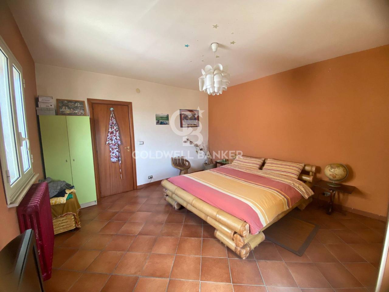 immagine annuncio 4 di 14