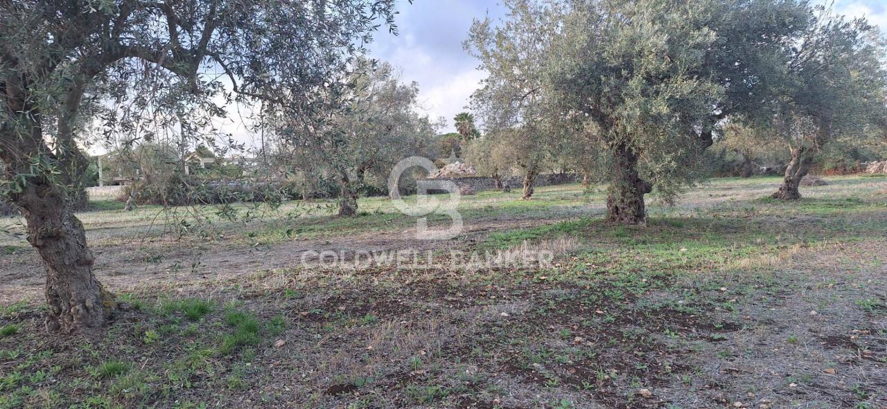 immagine annuncio 10 di 14