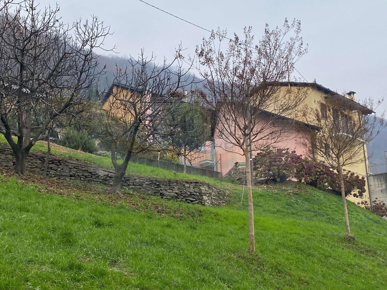 immagine annuncio 9 di 11