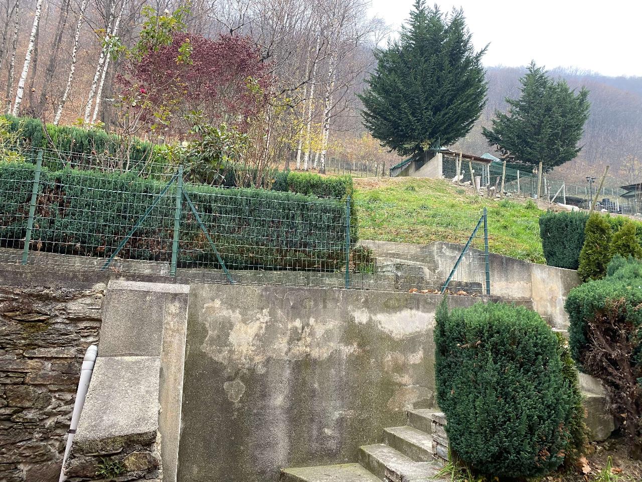 immagine annuncio 7 di 11