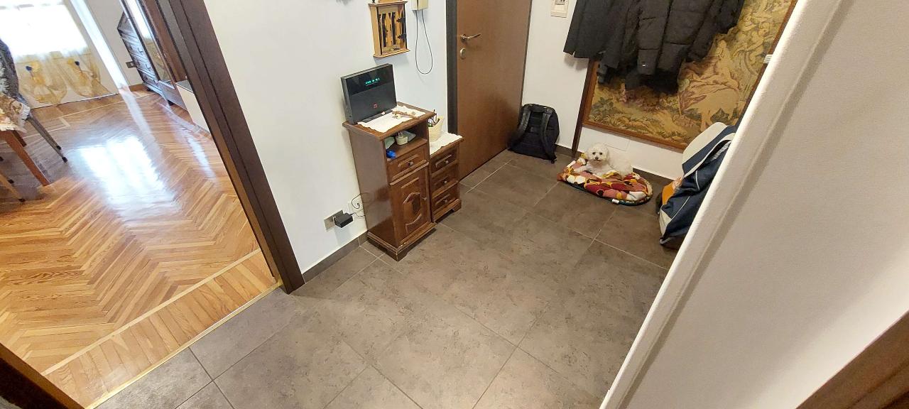 immagine annuncio 11 di 12