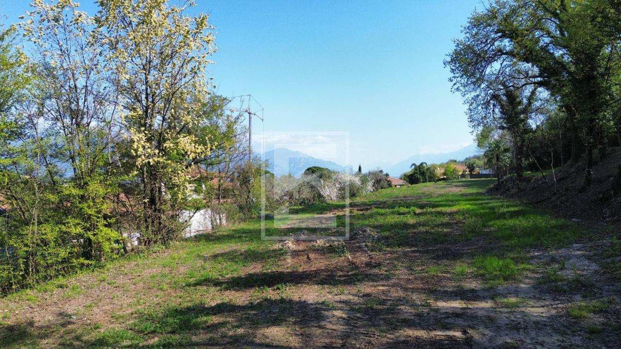 immagine annuncio 8 di 13