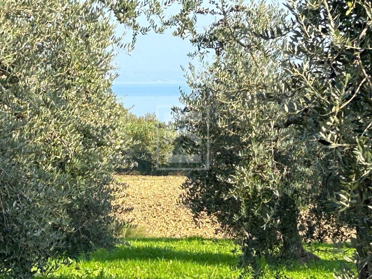 immagine annuncio 8 di 13
