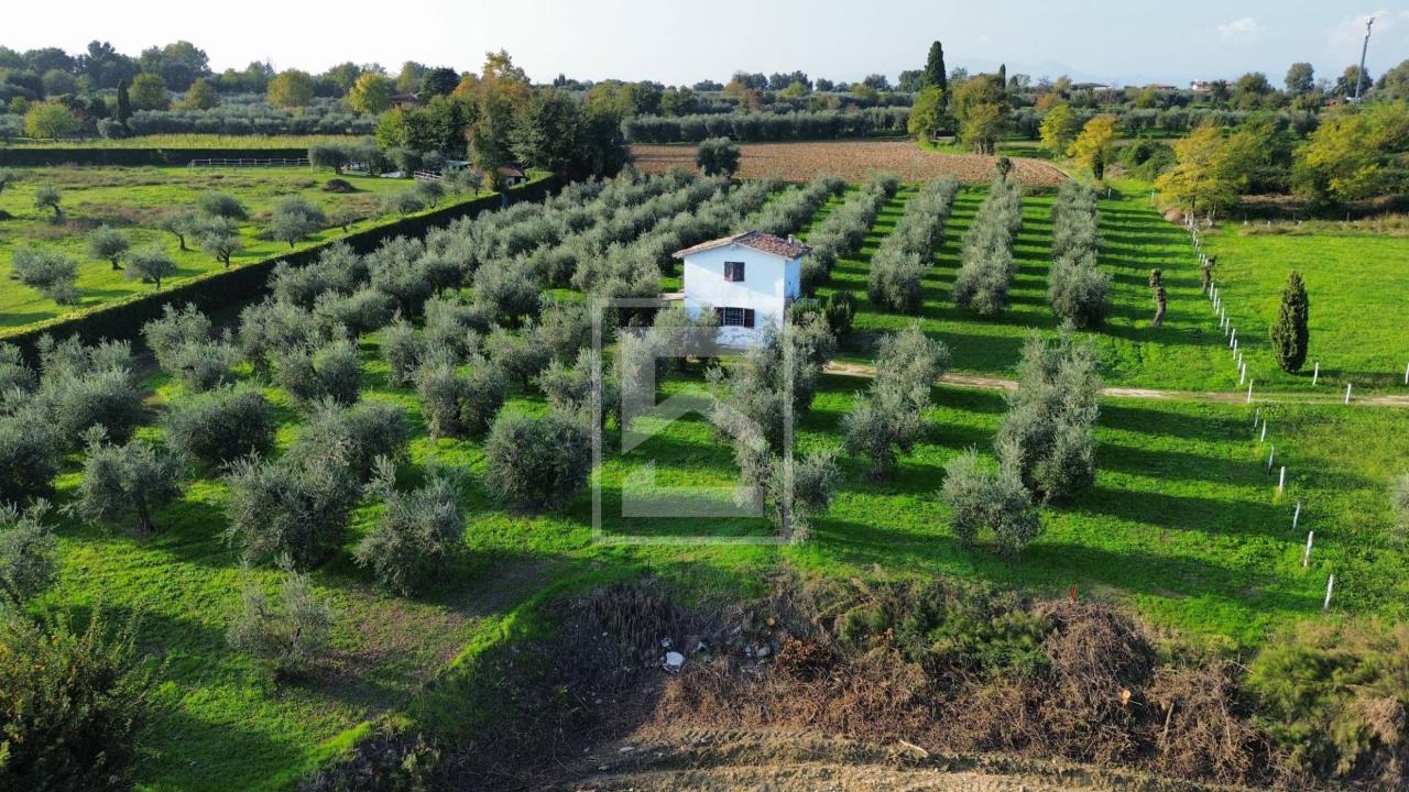 immagine annuncio 7 di 13