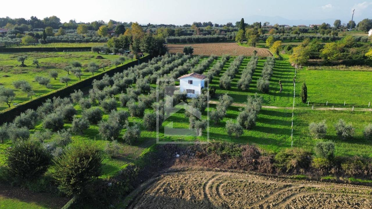 immagine annuncio 6 di 13