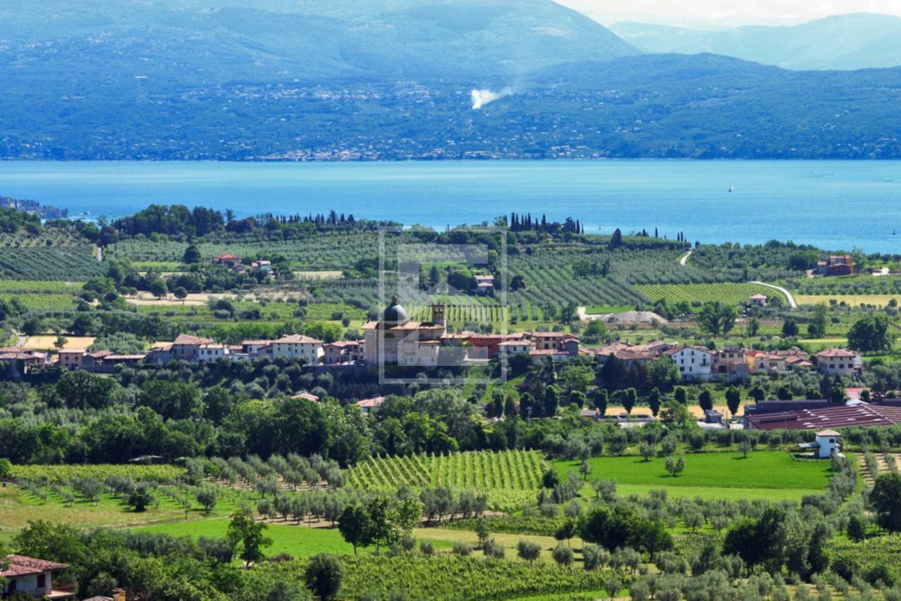 immagine annuncio 8 di 14