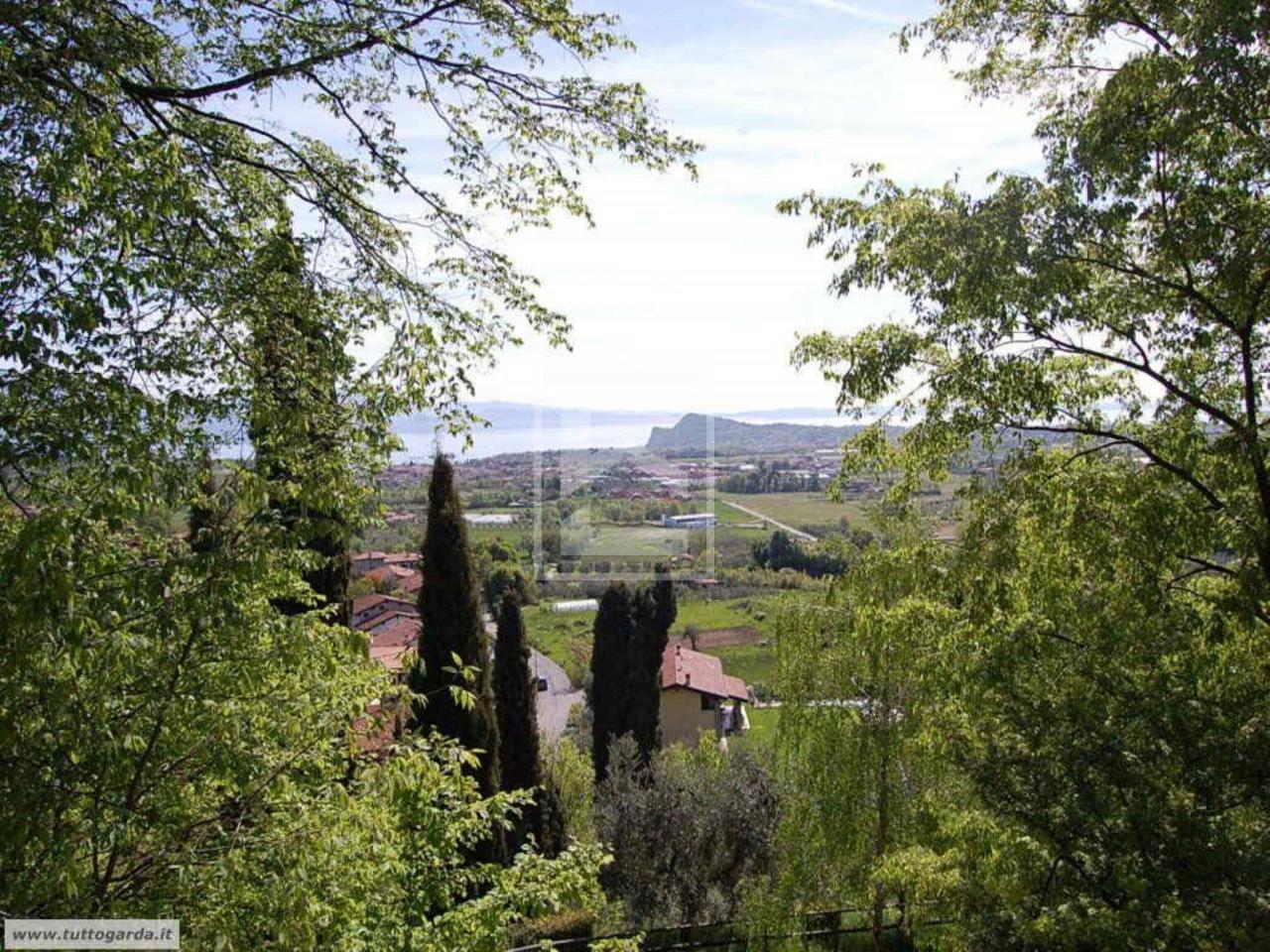 immagine annuncio 11 di 14