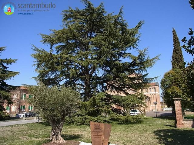 Appartamento, Monastier di Treviso - Foto 1