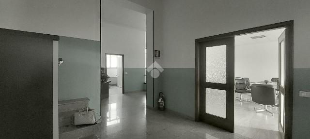 insertion image