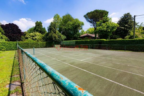 immagine annuncio 6 di 12